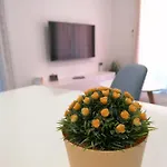 Jakov Apartamento Makarska